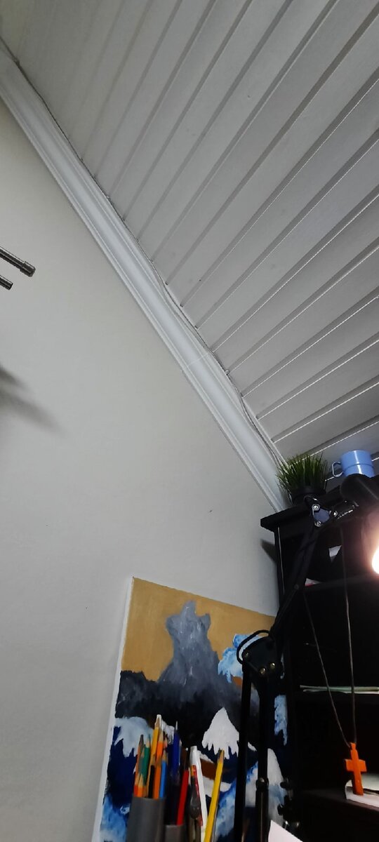 фото взято из открытых источников