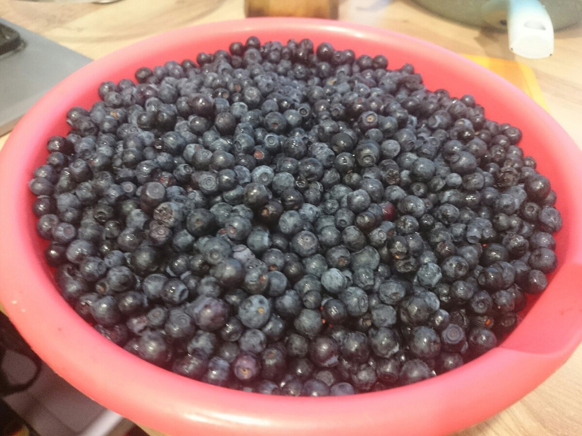 Черника очень полезна для зрения