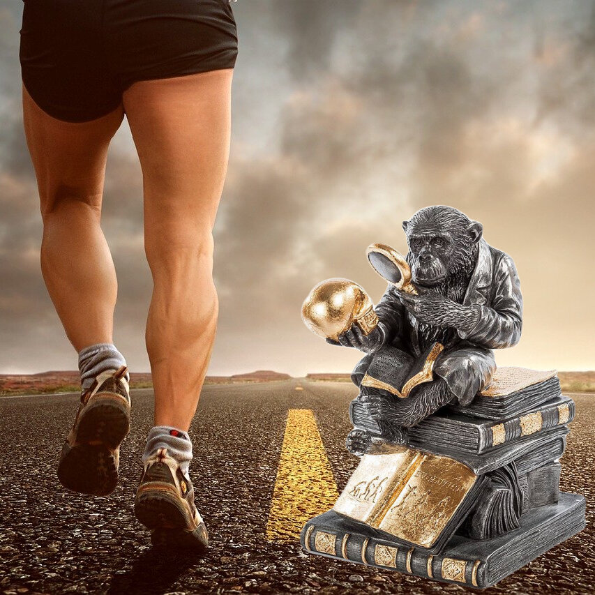 Изображение автора 12019 со стока Pixabay, лицензия: Free for commercial use