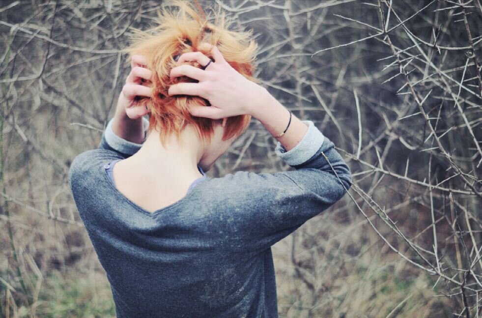 Мои мыши - мои скакуны...