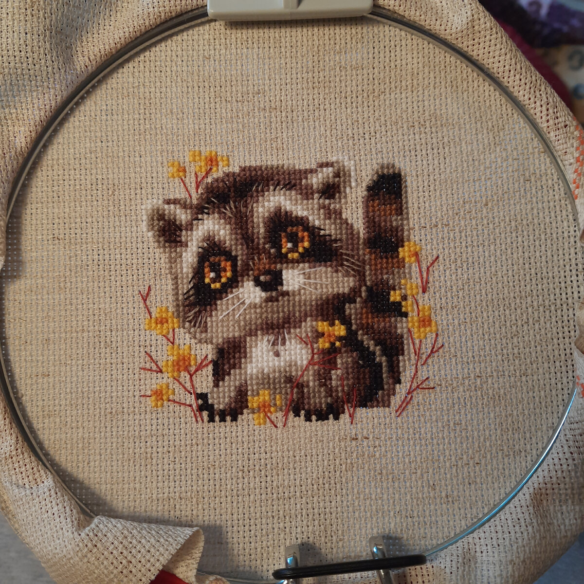 Енотик от риолис