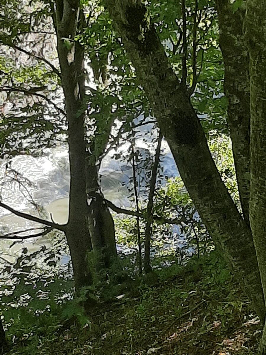 В Низу река Белая