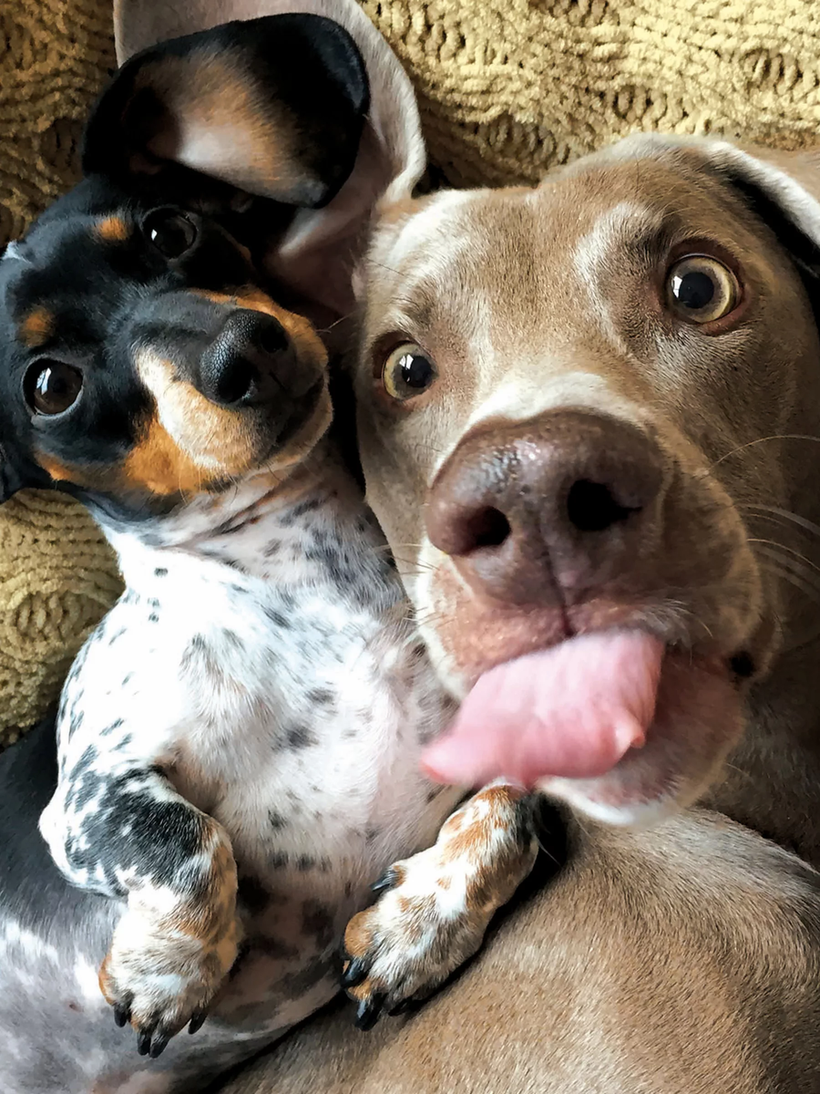 взято из инета для иллюстрации