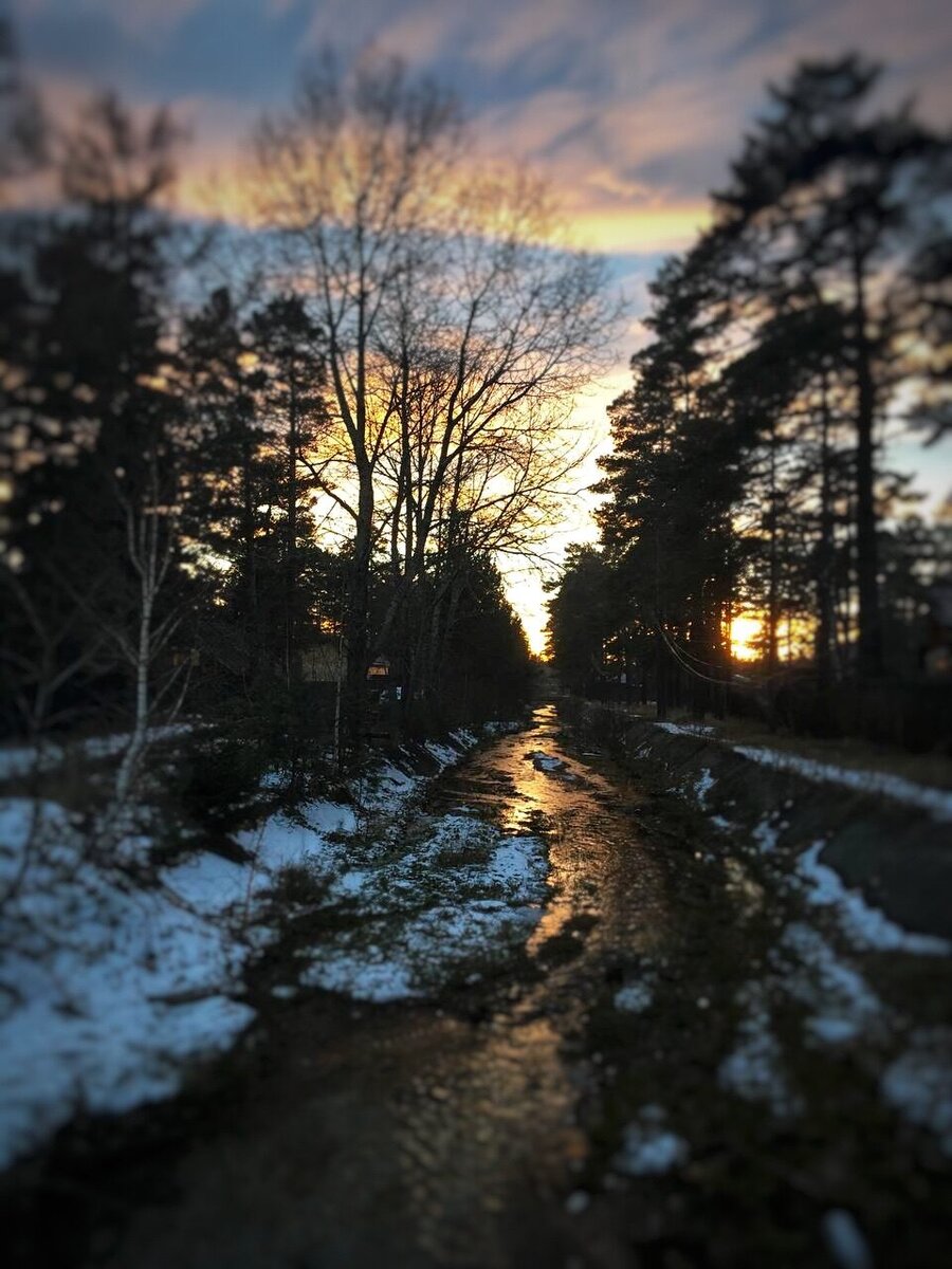 Фото Алёны Лосевой. 