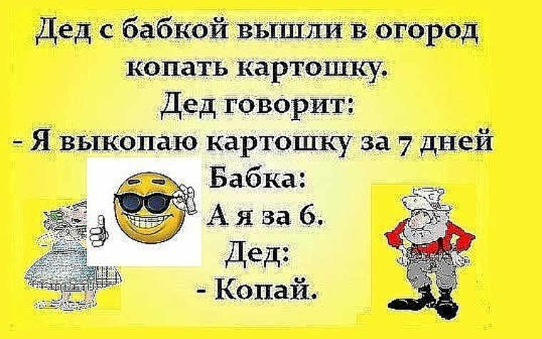 Писло. Анекдот про бабулю и картошку. Анекдоты про бабок. Анекдот про глухую бабку. Анекдот про картошку копать.