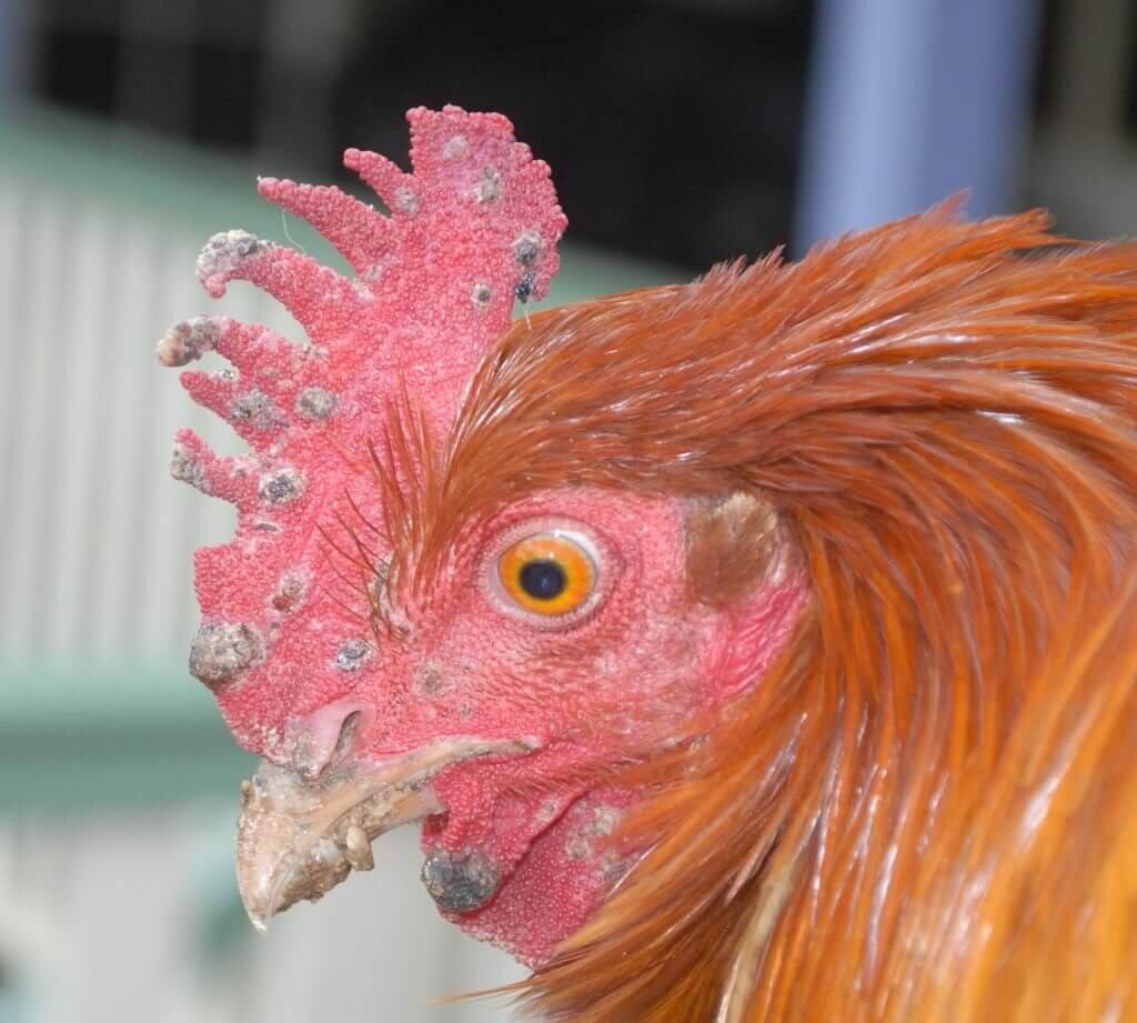 Источник: yandex.ru