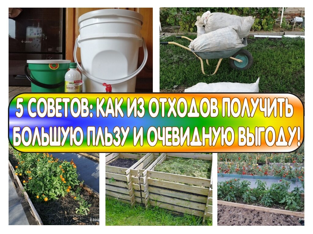 5 советов: как из отходов получить большую пользу и очевидную выгоду!