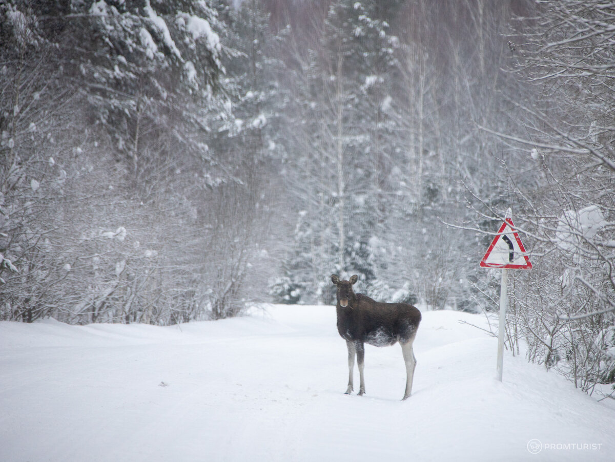 Заброшенная ГЭС на реке Нерль. Встретили старика (из местных) он ...