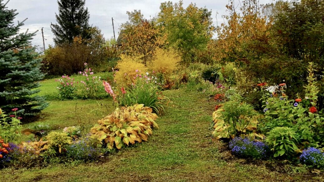 Вот так сад Натальи выглядит сейчас