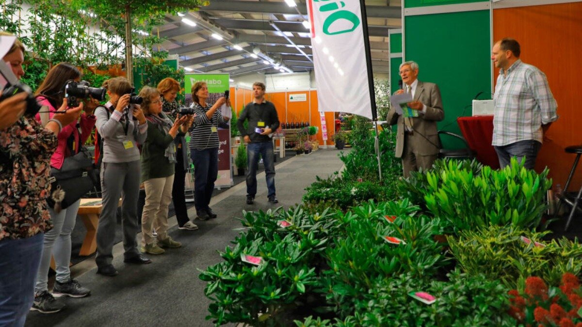 Фото:ruspitomniki.ru Зеленая выставка в Голландии GrootGroen+ 2018