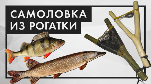 Как Сделать Ловушку ( Вершу) Для Рыбы. | VK