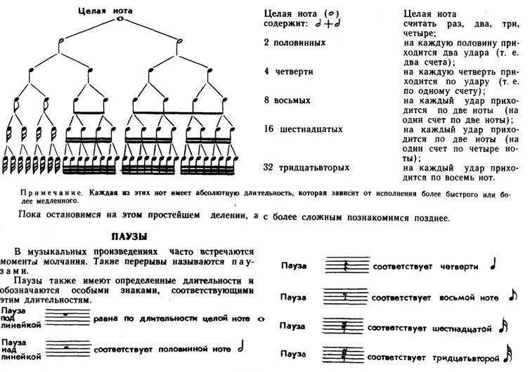 Нотная грамота. Сольфеджио.Теория музыки