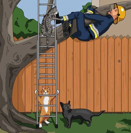 Из серии " Где-то в параллельной Вселенной. Источник twizz.ru