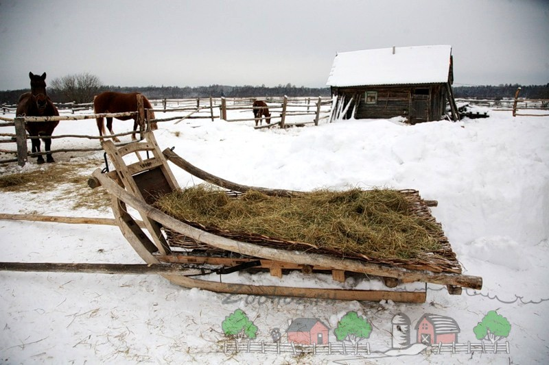 яндекс картинки