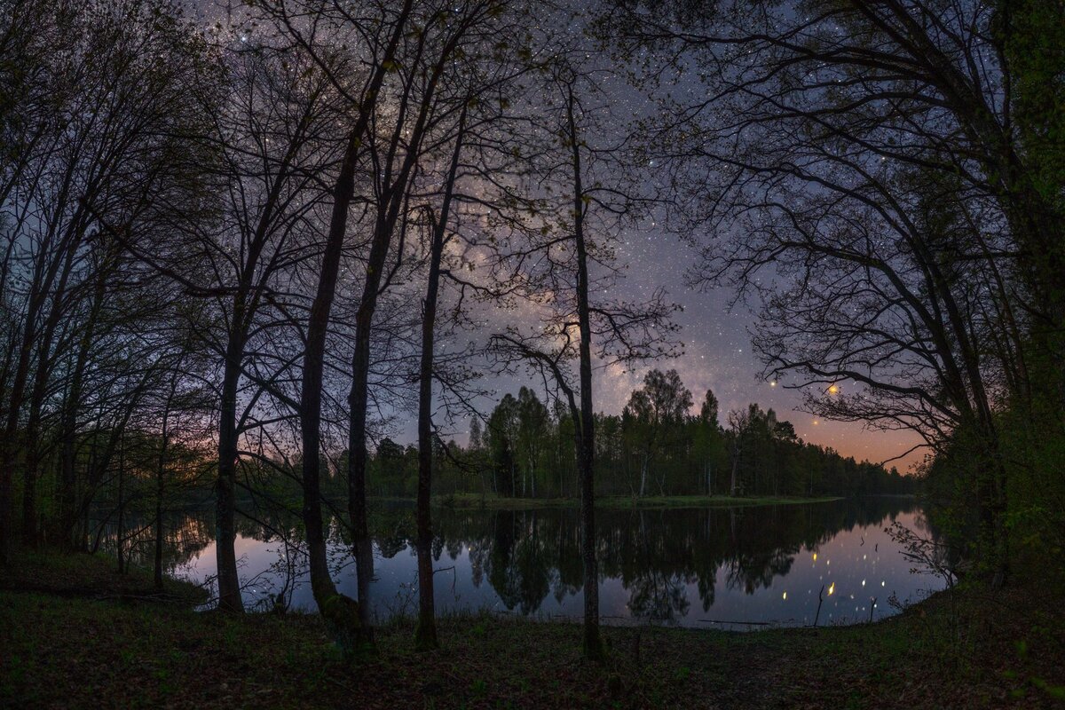 фото из интернета