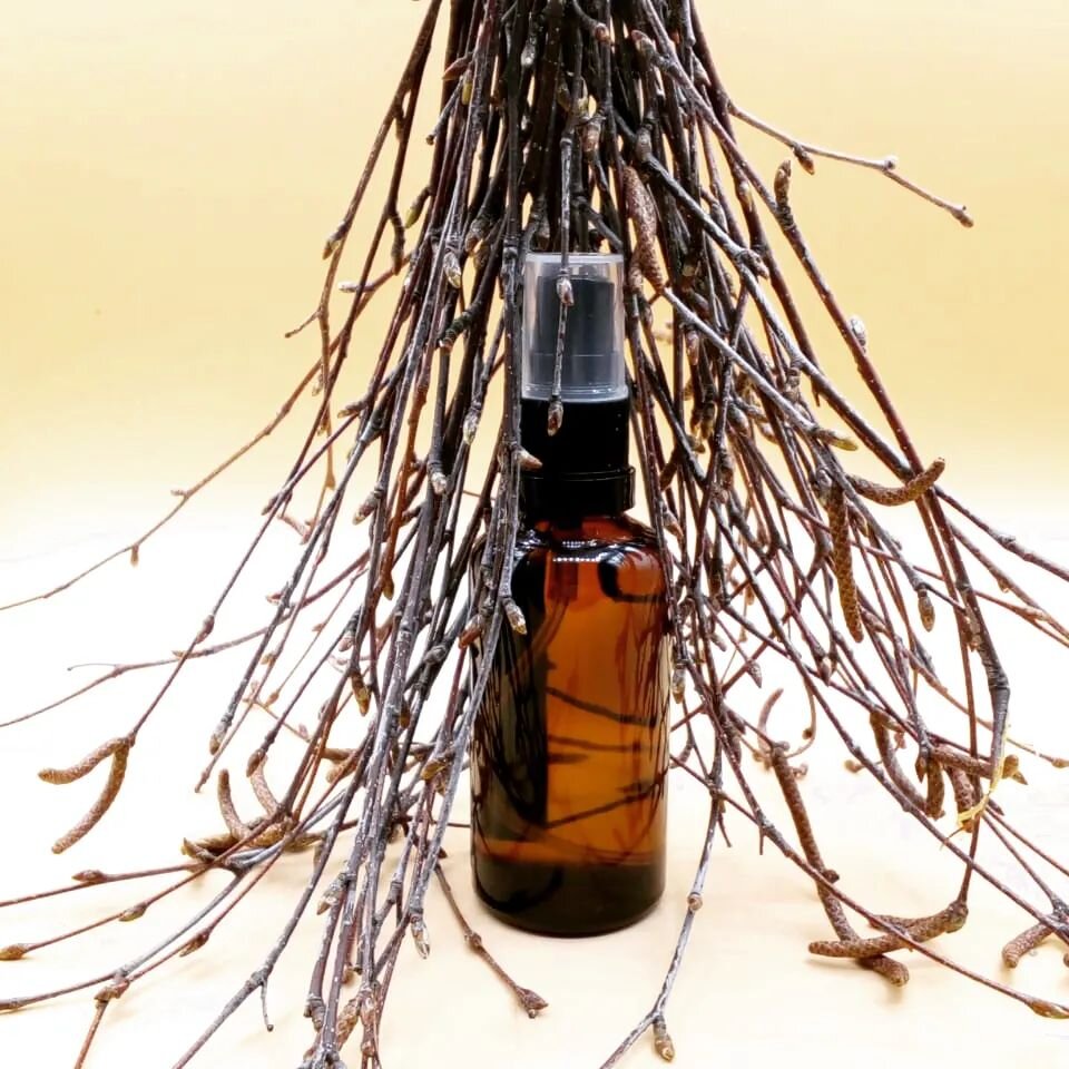 Гидролат из  берёзовых почек - классная вещь!