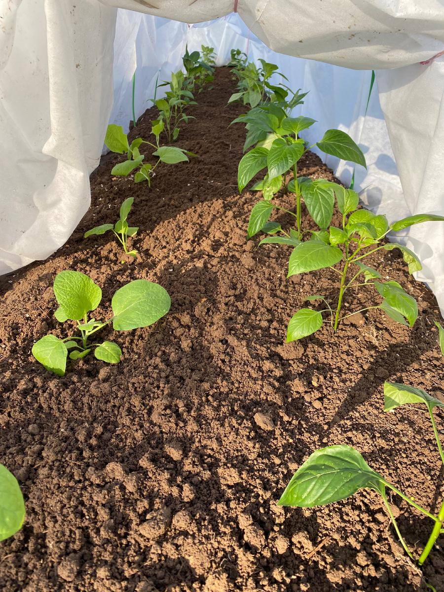 Личное фото 