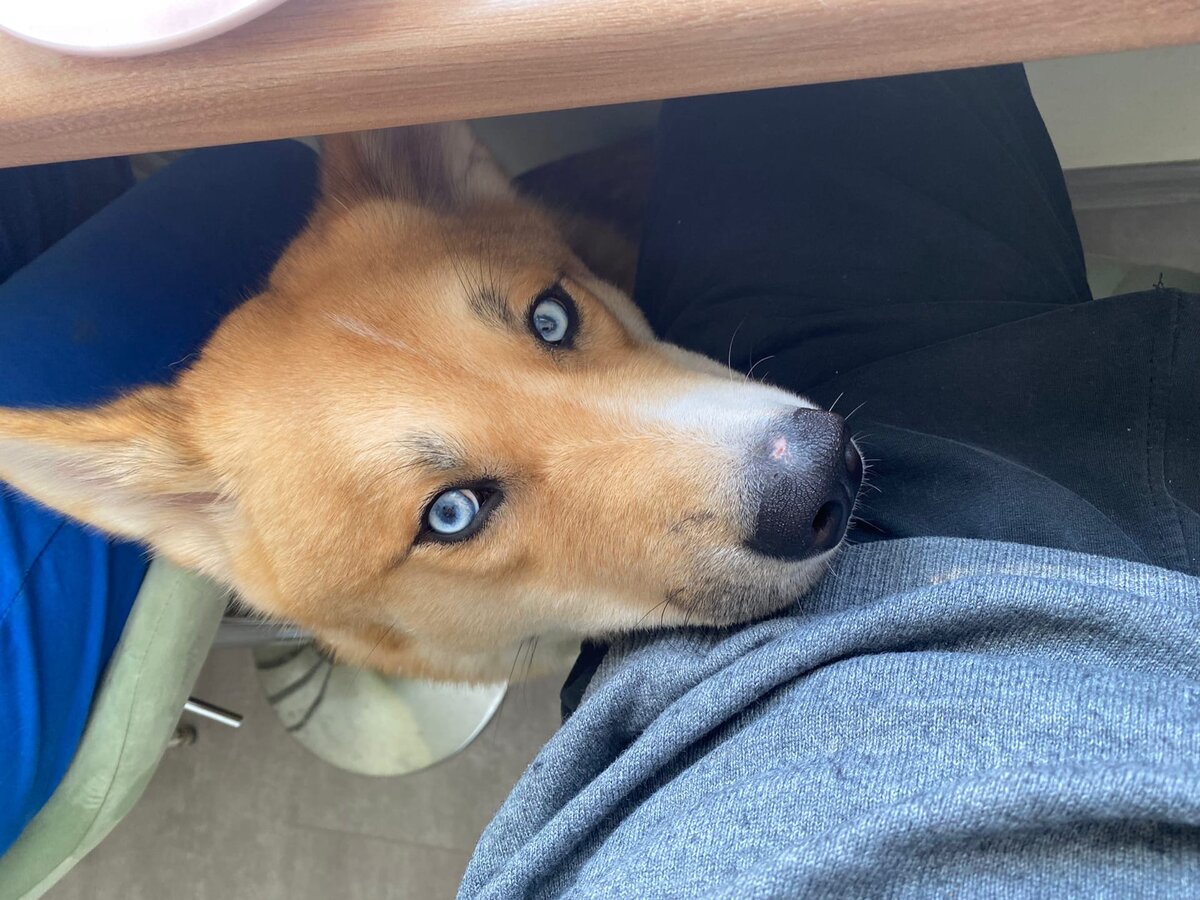 Стреляет глазками, но терпеливо ждет