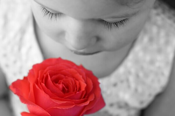    Фото: pixabay.com