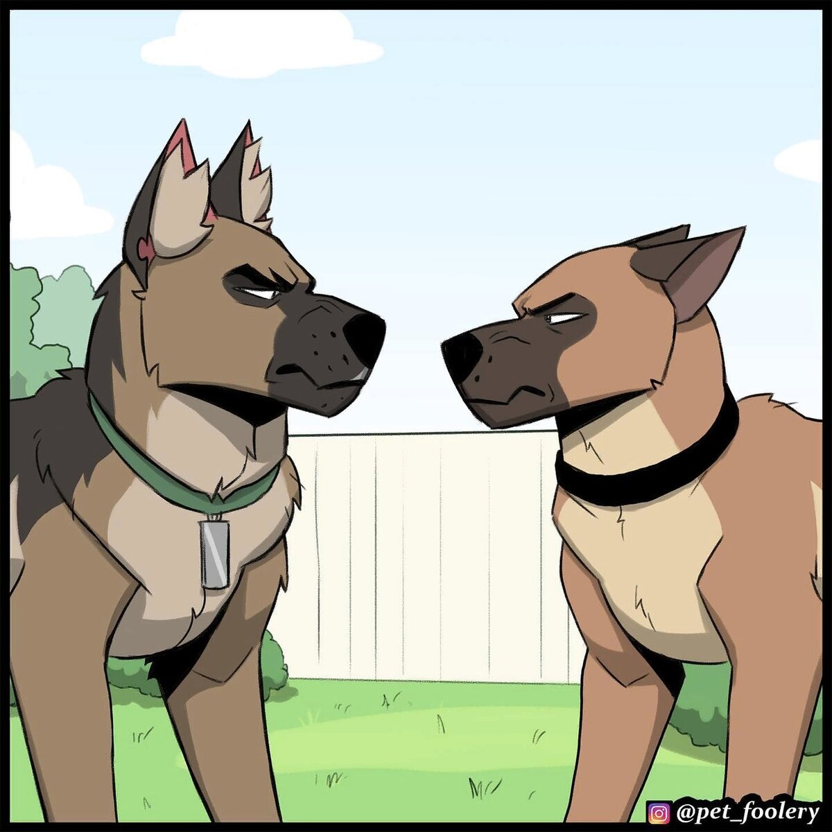 Post 6151329: brutus crossover edit er0otter fran litterbox_comics pixie_and_bru