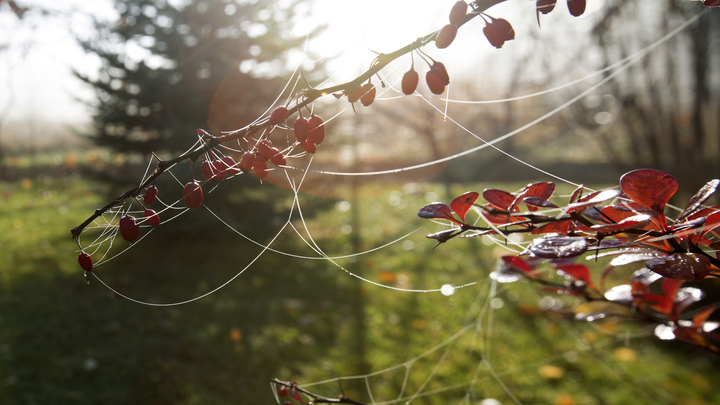 ФОТО: НИКОЛАЙ ГЫНГАЗОВ/GLOBALLOOKPRESS