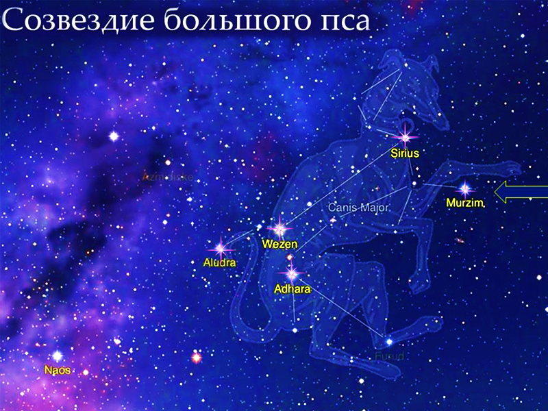 Рисунок источник яндекс картинки