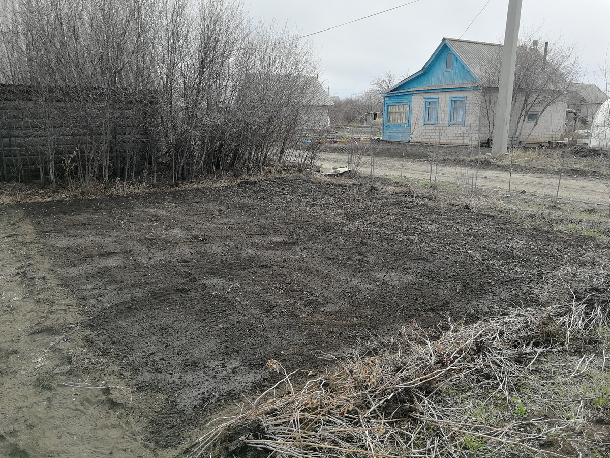 Впервые полита