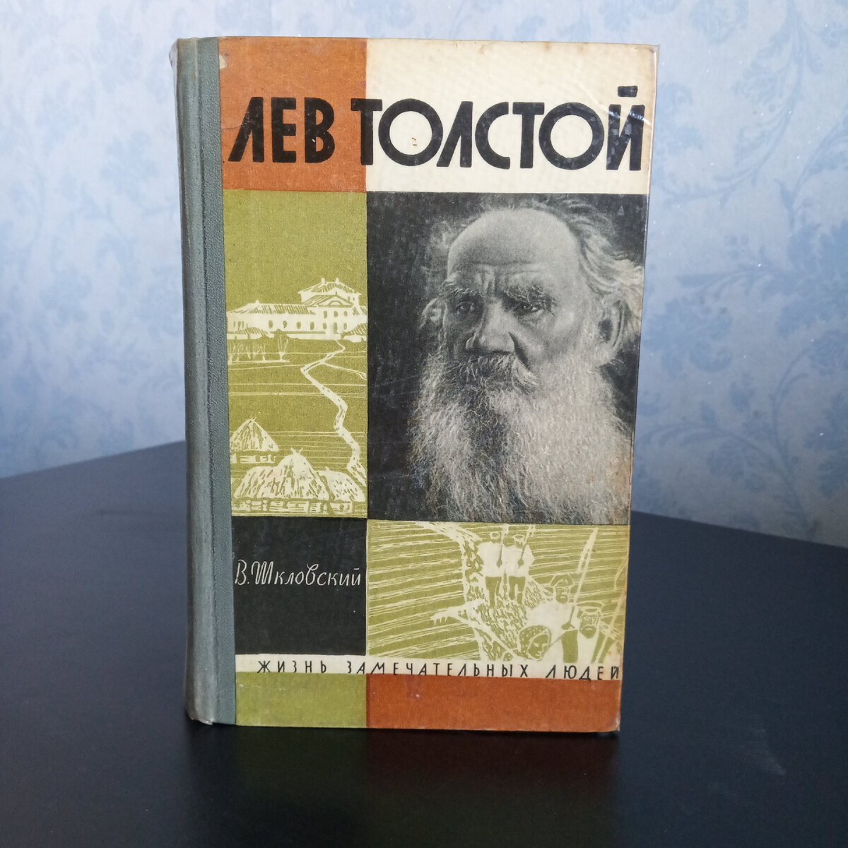 Про книги. Виктор Шкловский 