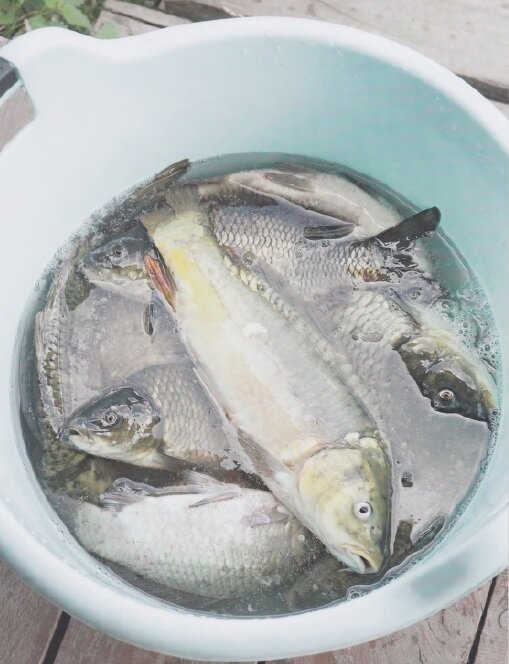 русская рыбалка