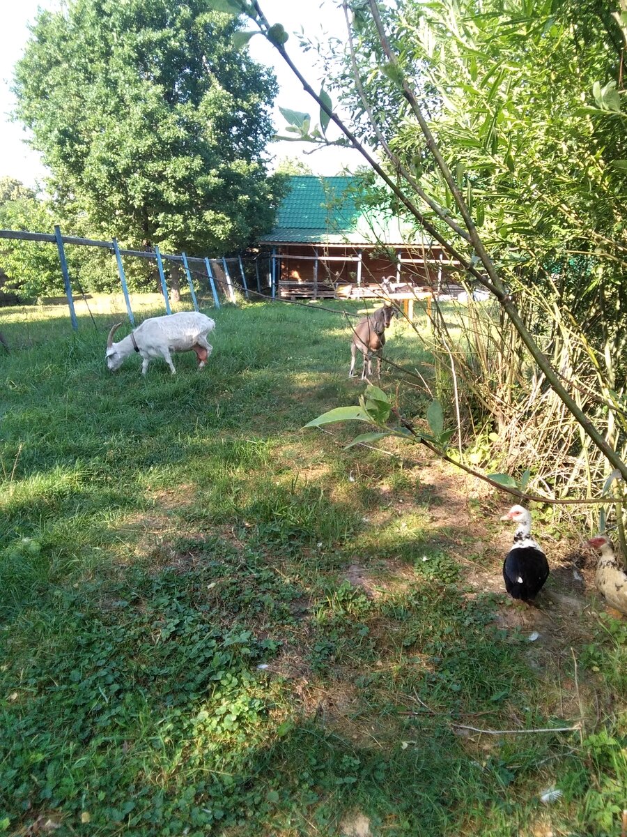 Фото автора. 