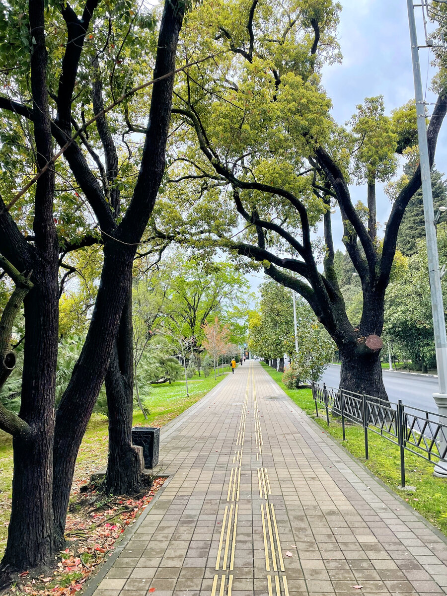 Курортный проспект в Сочи