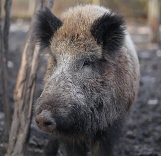 Изображение из открытого источника. Unsplash