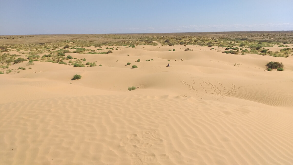 Вид с вершины бархана