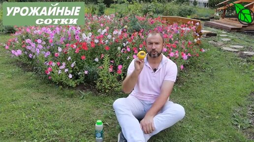 Video herunterladen: СМОТРИ НЕ ПЕРЕПУТАЙ! ОПАСНЕЕ ФИТОФТОРЫ - АЛЬТЕРНАРИОЗ! Симптомы и лечение болезней томата и картофеля.