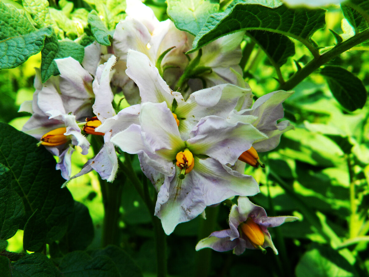 фото автора канала 