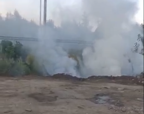    Скриншот из видео в группе Типичная Рязань ВКонтакте