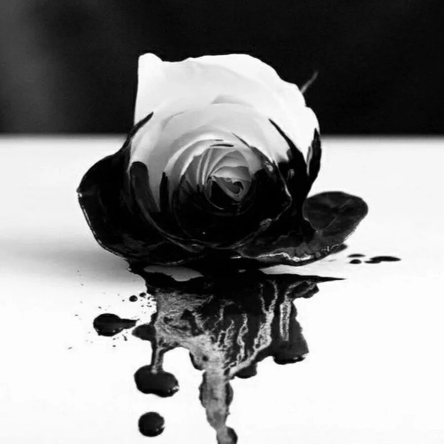 Картинка взята из открытых источников. Все права на стихотворение принадлежат автору. Запрещается копирование, распространение или любое иное использование информации и объектов авторского права без предварительного согласия правообладателя
