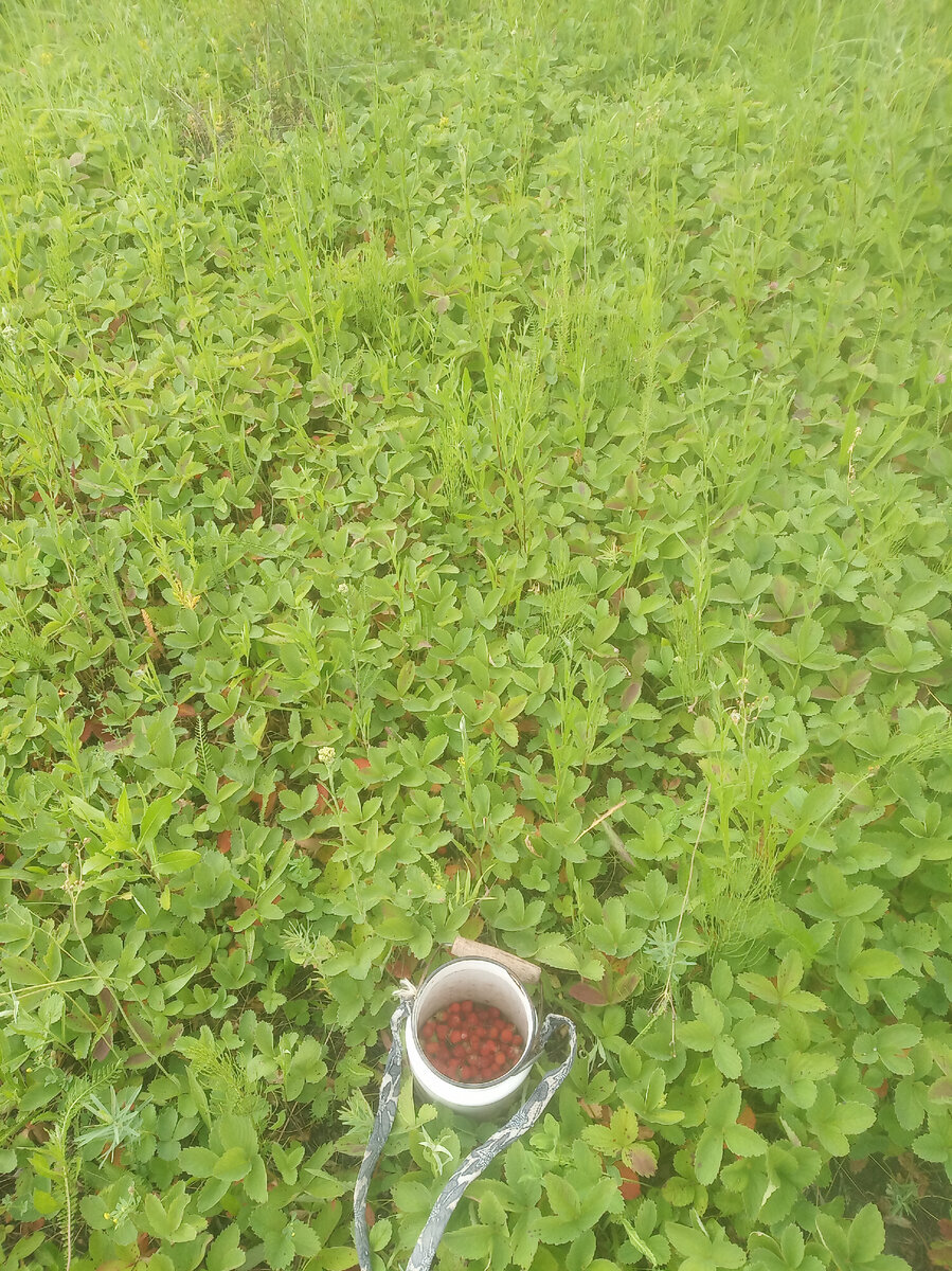 Добавьте описание