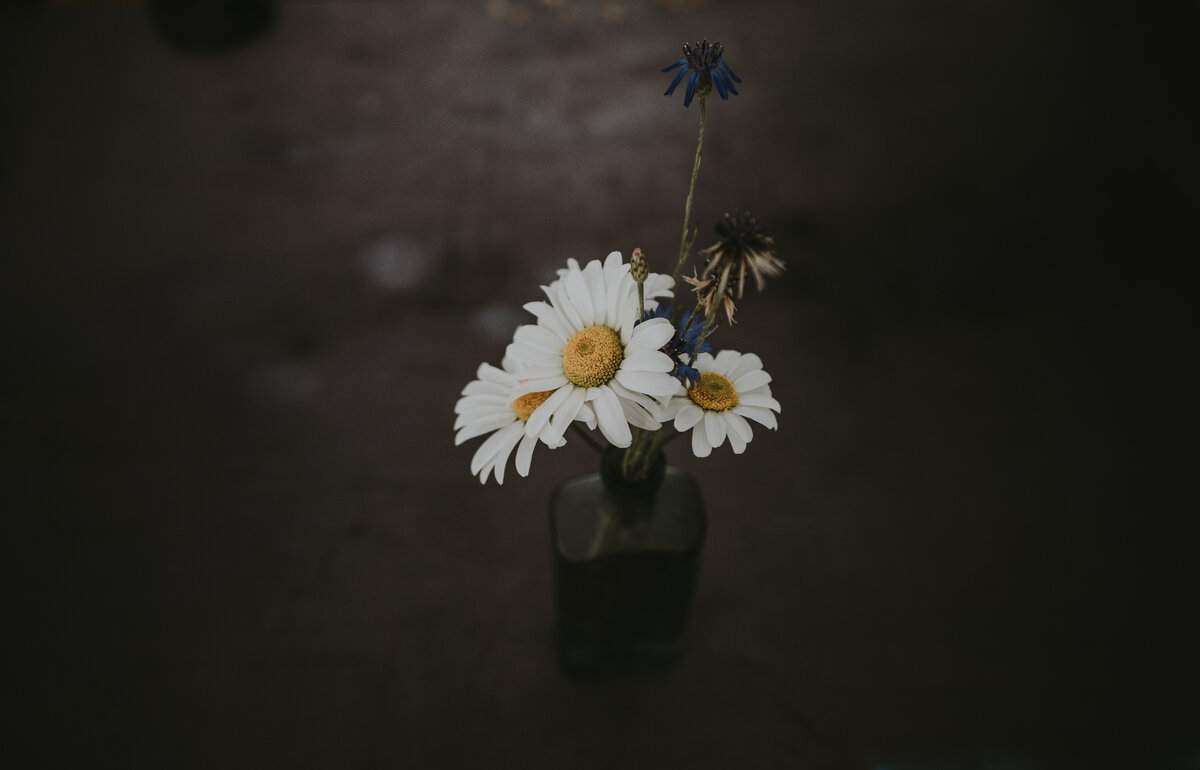 Photo by Annie Spratt on Unsplash