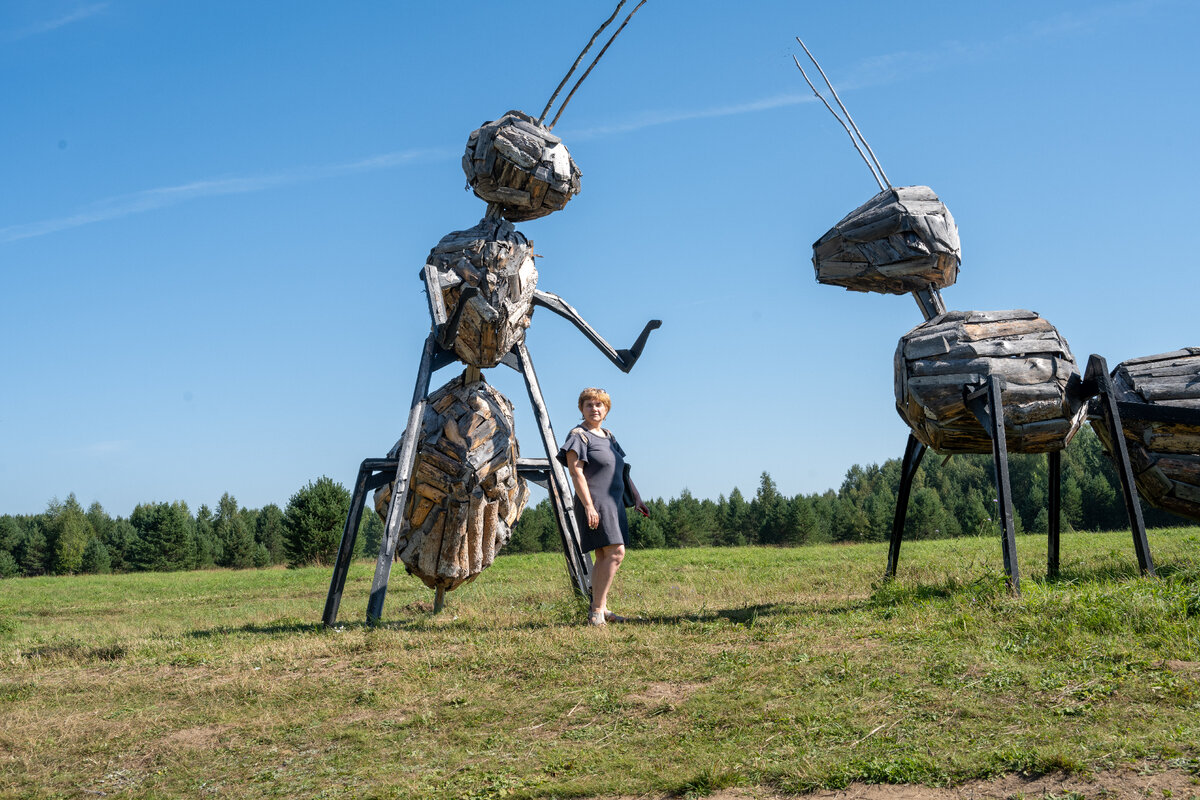 Кенозерский заповедник