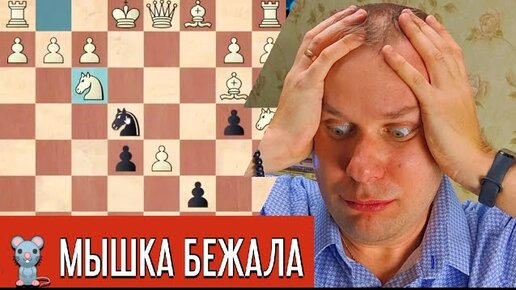 Шахматы блиц. Мышка бежала - хвостиком махнула | Шахматы Олег Соломаха ...