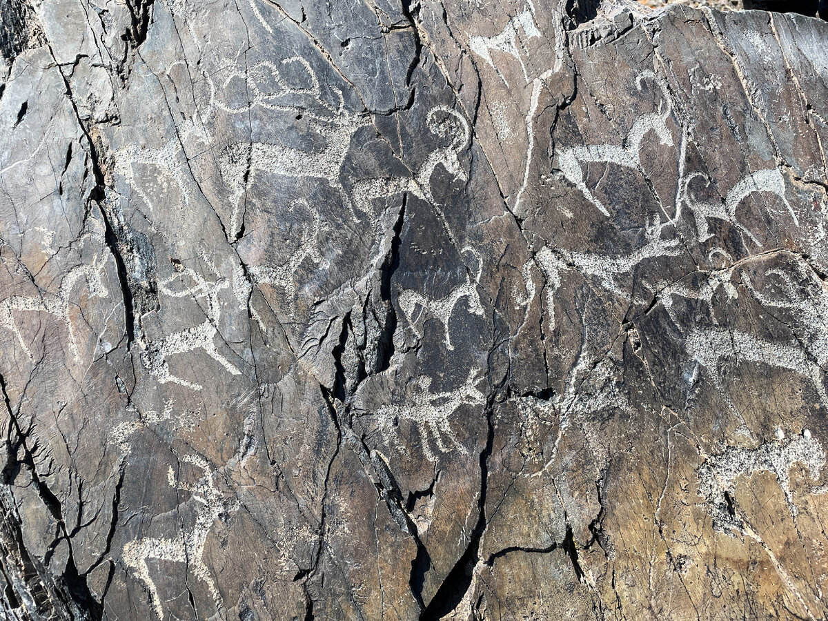 Вот такие петроглифы можно увидеть на горе:) Это самые четкие рисунки, из тех, которые мы встречали на Алтае:)