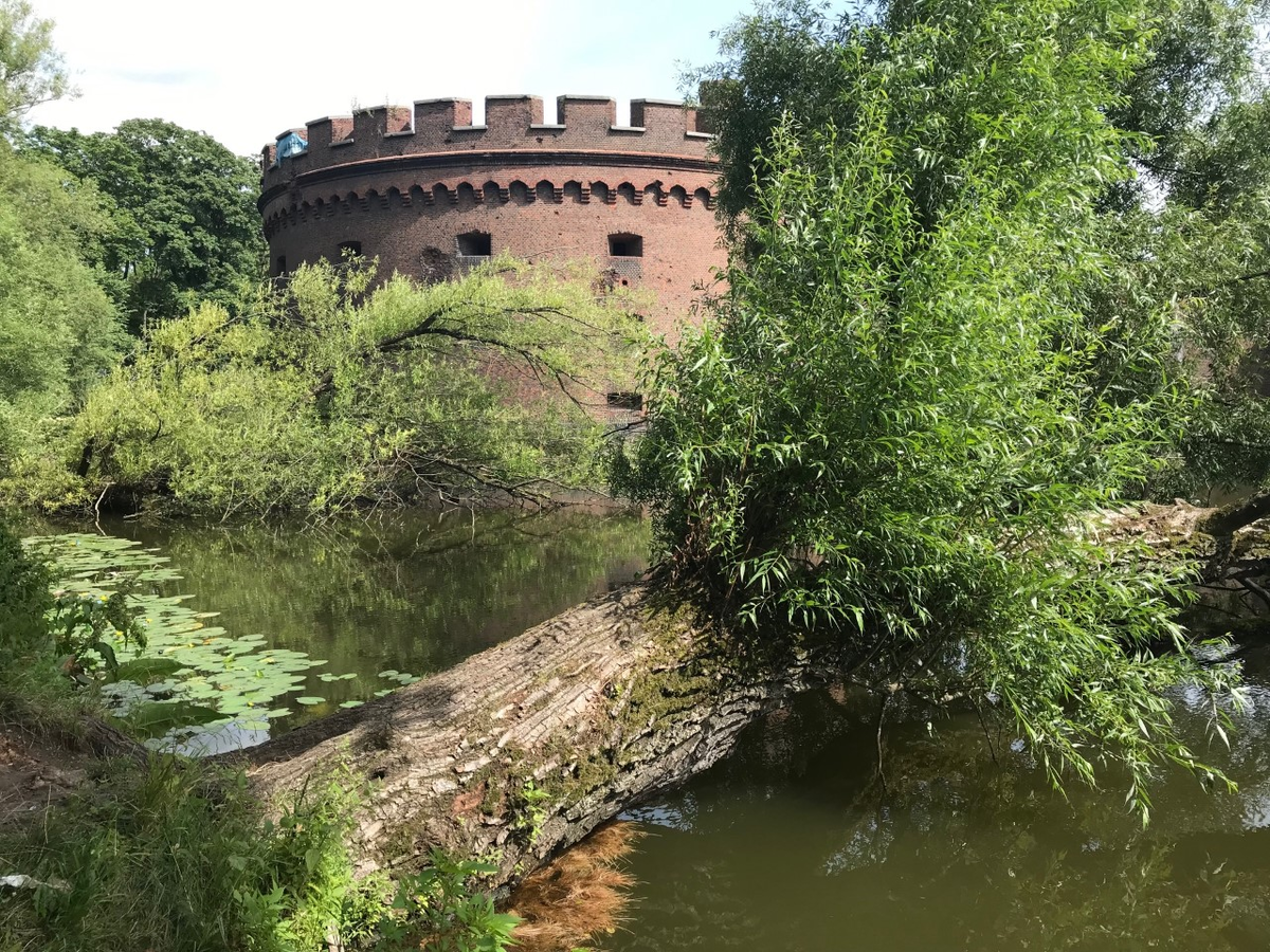 Башня Врангеля. Фото автора