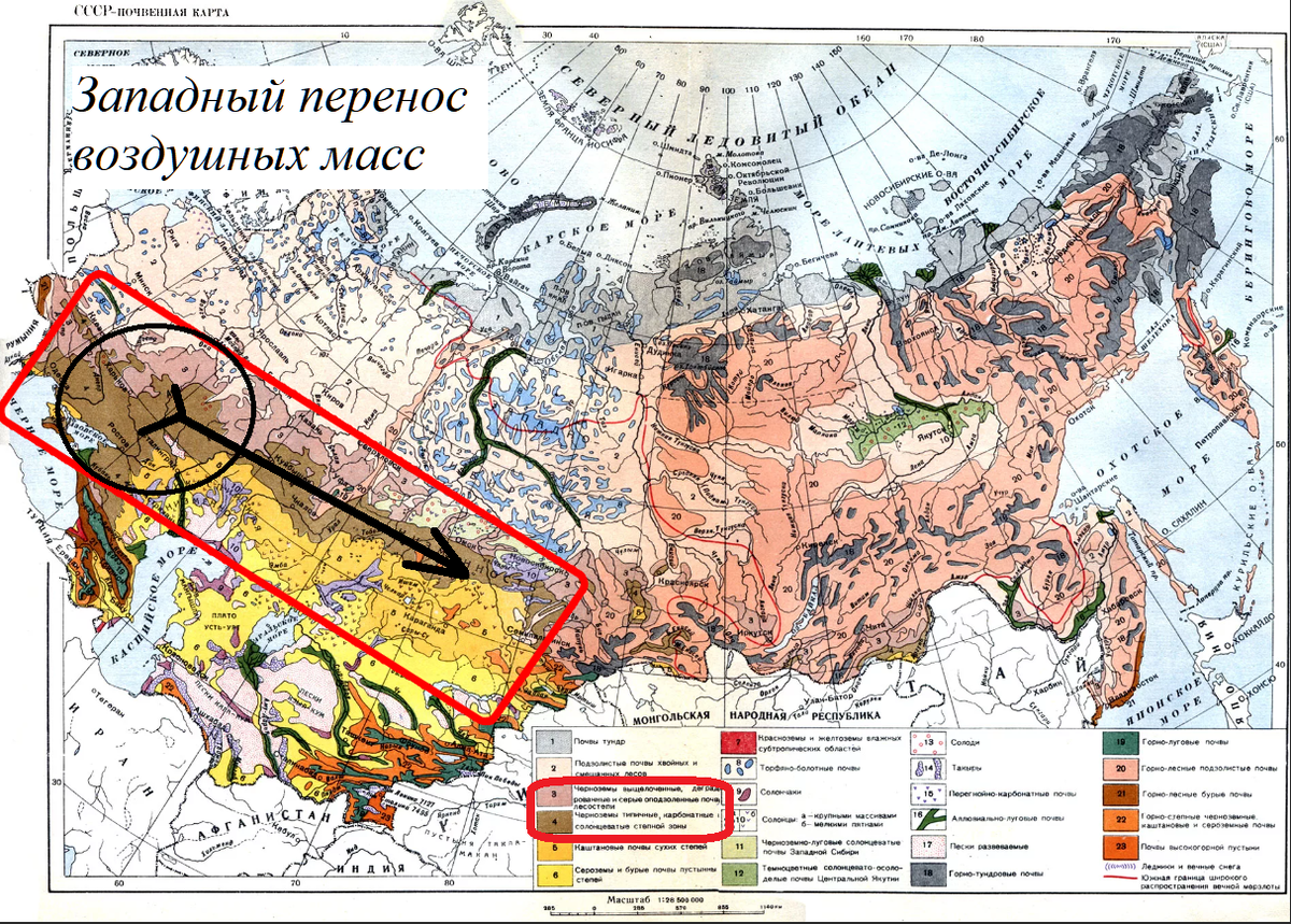 Западный перенос воздушных