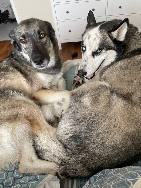 Она не твою, вот ты и бесишься!