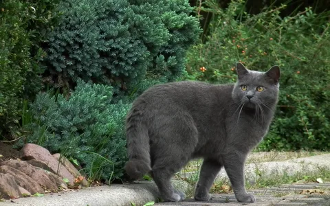 фото из интернета