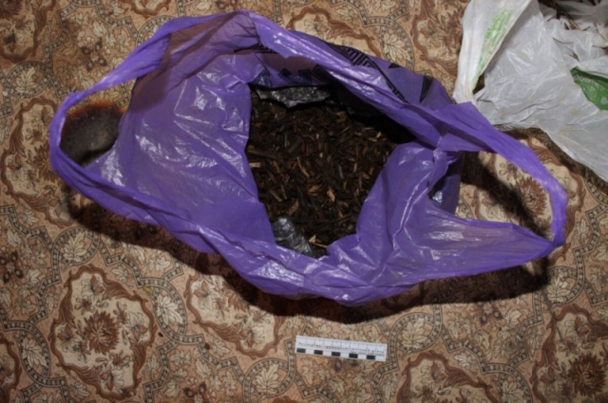    Иллюстративное фото.