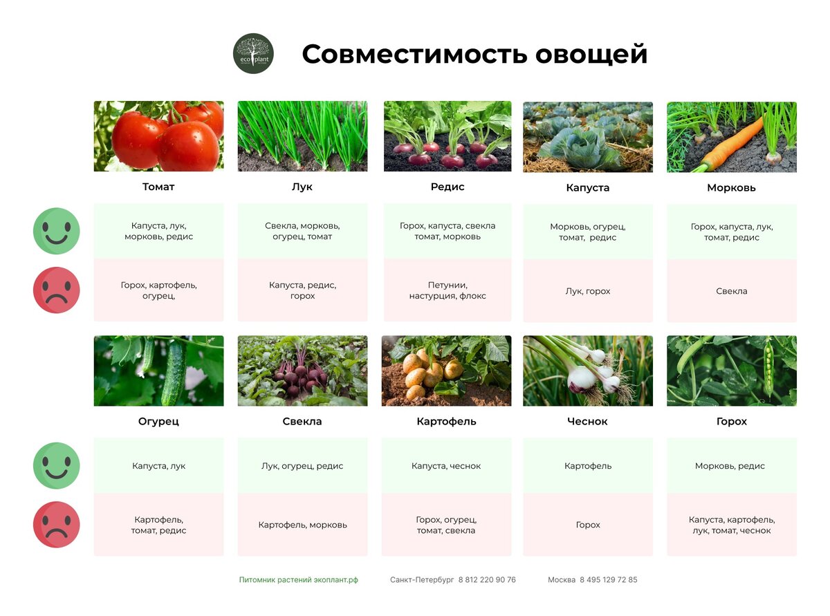 Садовые качели с москитной сеткой