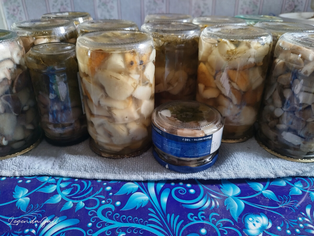 Справа налево - опята, белые, маслята