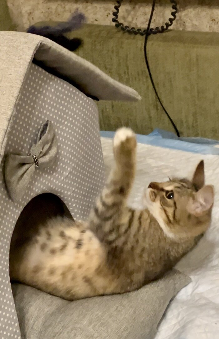 Листайте вправо, чтобы увидеть больше изображений